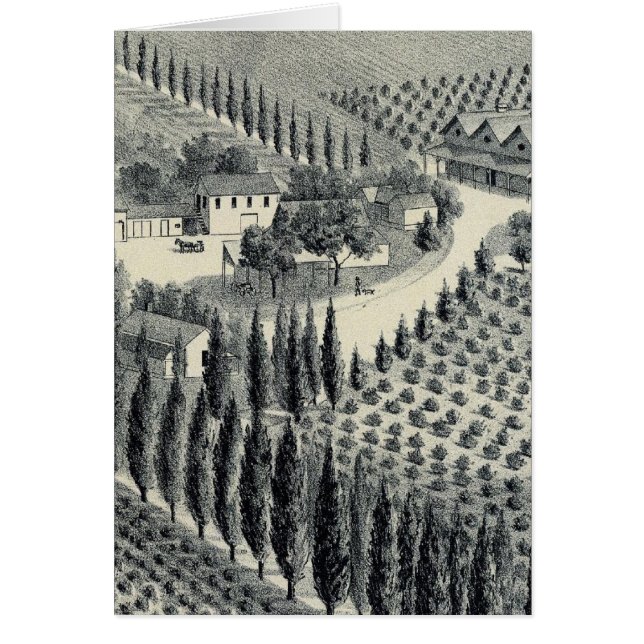 Eggers Vineyard, Fresno (Front)
