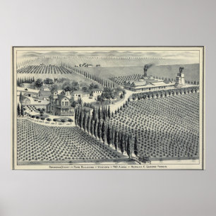 Eggers Vineyard, Fresno Poster