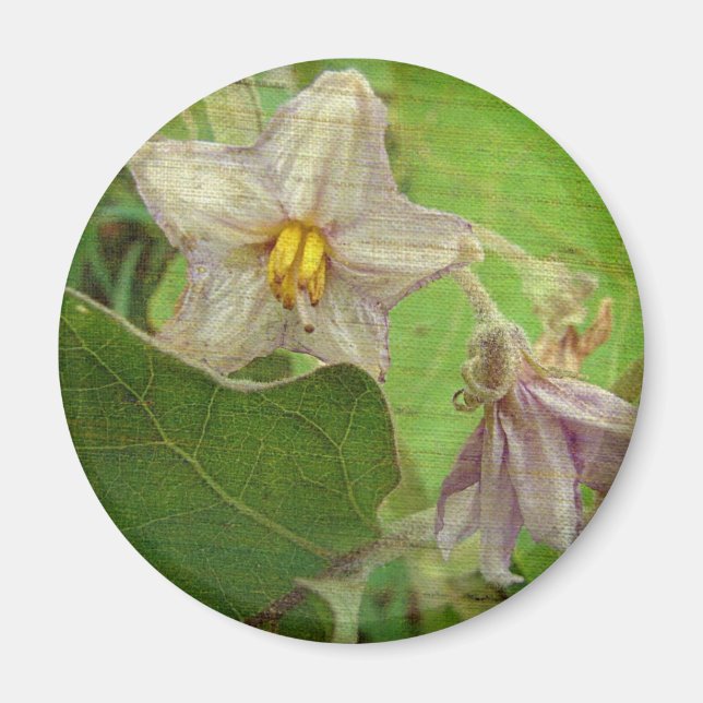 Eggplant Flowers Magnet (Front)