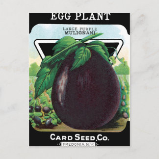 Eggplant Seed Packet Postcard