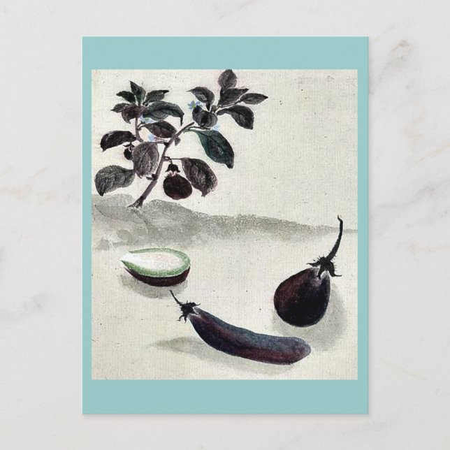 Eggplants with plant growing in the background Uki Postcard (Front)