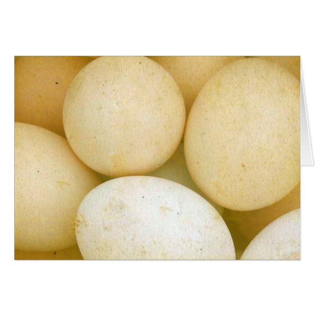 Eggs (Front Horizontal)