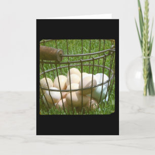 Eggs all occasions card