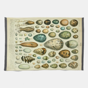 Eggs antique natural history illustration millot kitchen towel