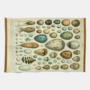 Eggs antique natural history illustration millot kitchen towel