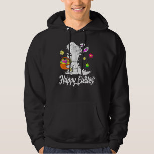 Eggs Basket Bunny T Rex Dinosaur Happy Easter Day Hoodie
