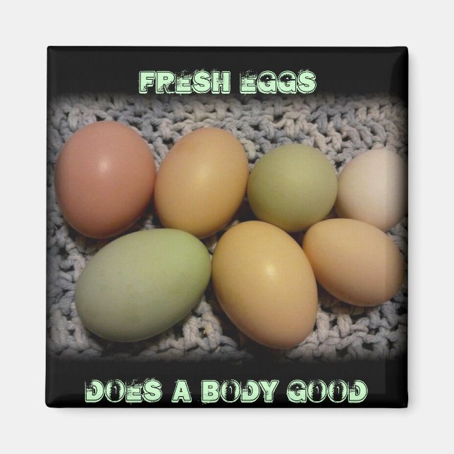 Eggs Does A Body Good Magnets (Front)