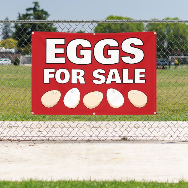Eggs For Sale Banner (Insitu)