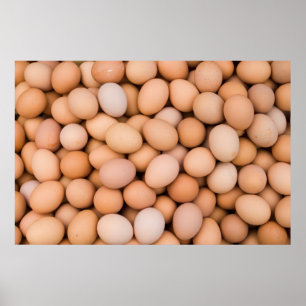 Eggs, Huaraz, Cordillera Blanca, Ancash, Peru Poster