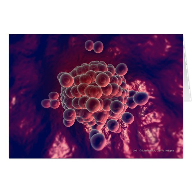 Eggs in an ovum (Front Horizontal)