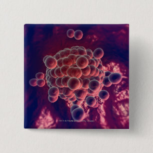 Eggs in an ovum 2 inch square button