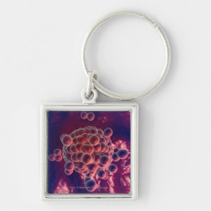 Eggs in an ovum keychain