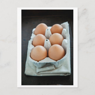 Eggs Postcard