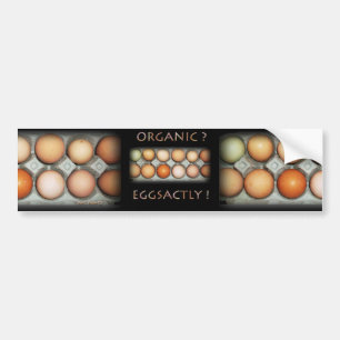 EGGSACTLY BUMPER STICKER