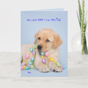 Eggstra special yellow labrador puppy easter holiday card