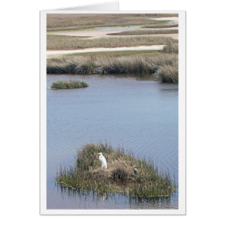 Egret à la maison