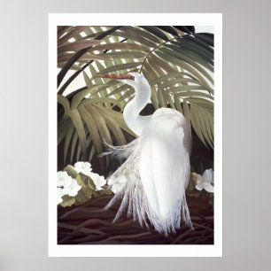 Egret and Palms Poster