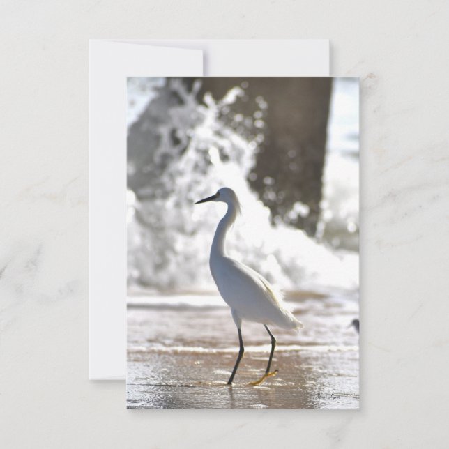 Egret at the beach note card (Front)
