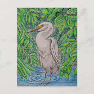 Egret bird postcard