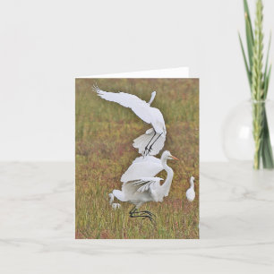 Egret Birds Wildlife Animals Wetlands Note Card