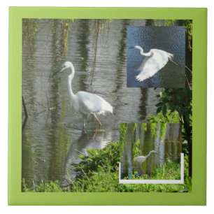 Egret Collage Cust. Border Colour Ceramic Tile