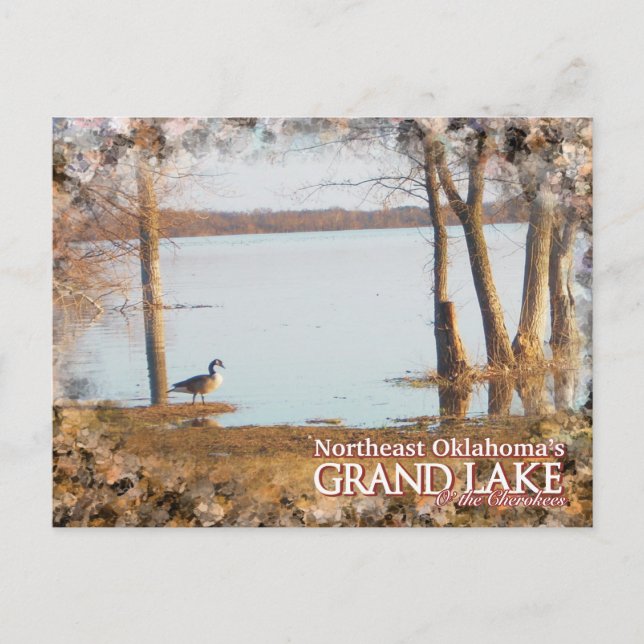 egret de carte postale Grand Lake Oklahoma (Devant)
