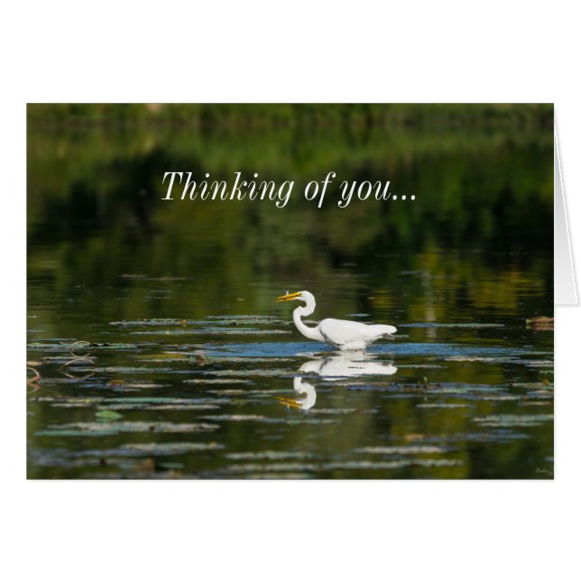 Egret Fish Feast Thinking Of You Card (Front Horizontal)
