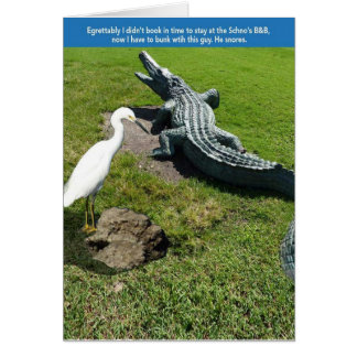 Egret & Gator