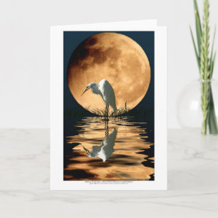 Egret & Golden Moon Wildlife Art Greeting-card Card