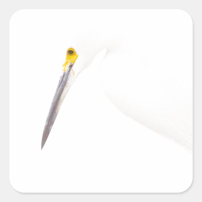 Egret headshot square sticker (Front)