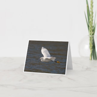 Egret in Flight Card