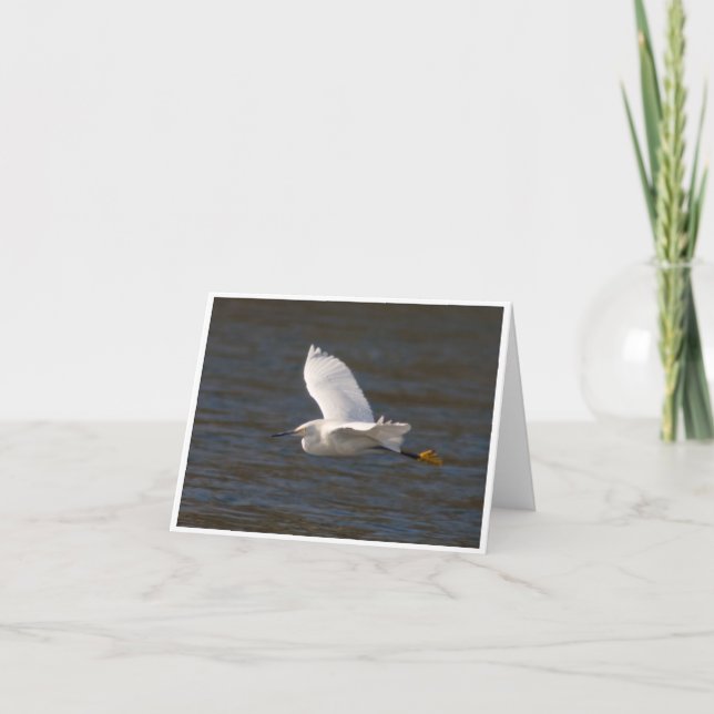 Egret in Flight Card (Front)