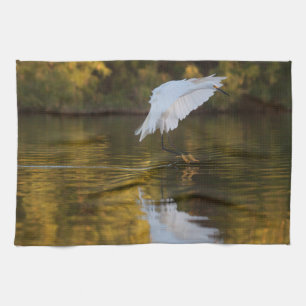 Egret in flight over Golden Pond  Kitchen Towel