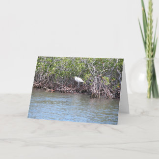Egret in Mangroves Card