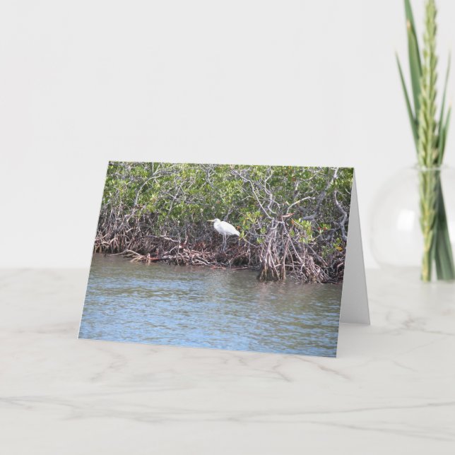 Egret in Mangroves Card (Front)