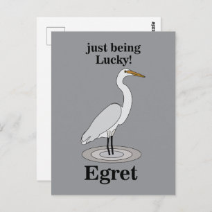 Egret Lucky Bird Postcard