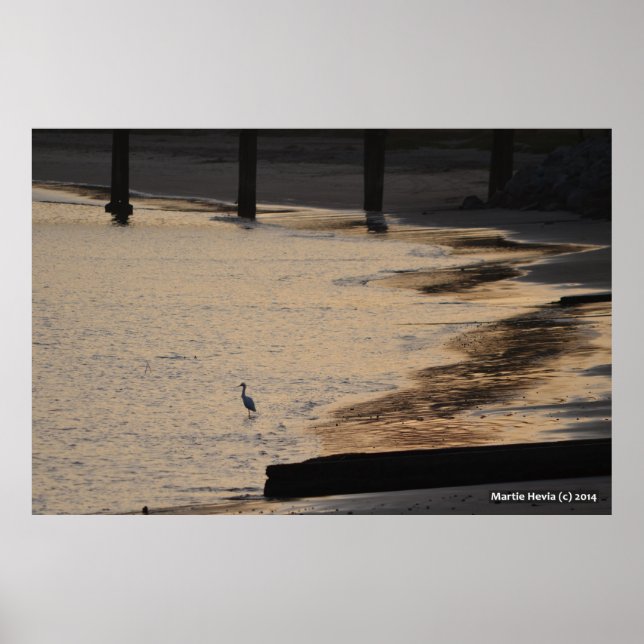 Egret on Shore II Poster (Front)