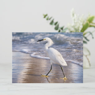 Egret on shoreline notecard