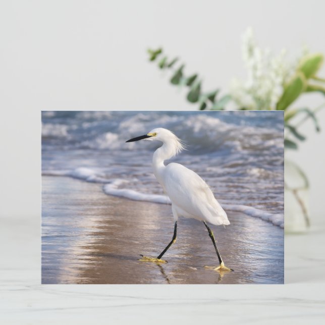 Egret on shoreline notecard (Standing Front)