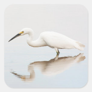 Egret on still pond square sticker