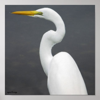 egret poster