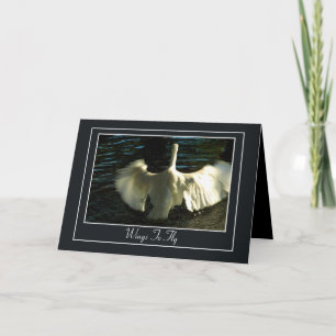 Egret Spreading Wings on Water Card