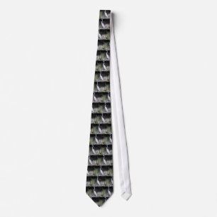 Egret Tie