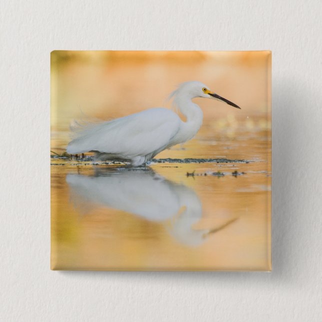 Egret when the sun is setting 2 inch square button (Front)