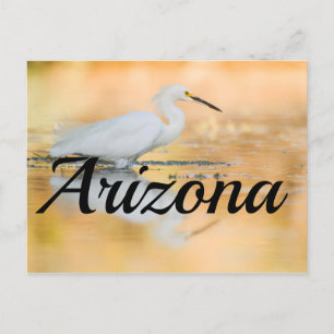Egret when the Sun is Setting, Arizona Postcard