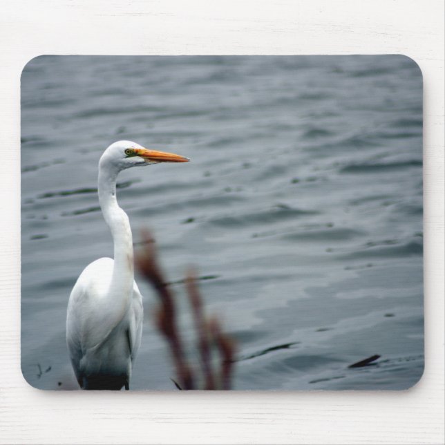 Egret (white heron) standing at waters edge mouse pad (Front)
