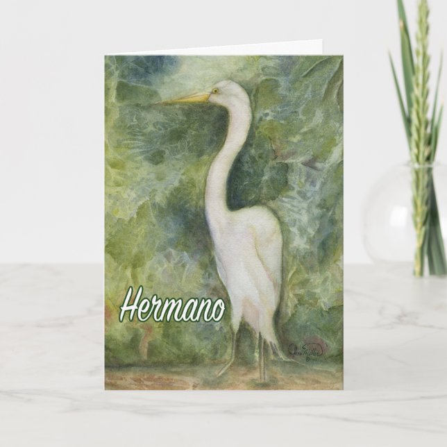 Egret white wilderness Hernano D-Day card Spanish (Front)