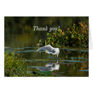 Egret Wing Exam Thank You Card