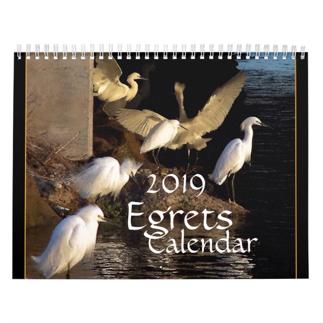 Egrets Birds Wildlife Animals 2019 Calendar (Cover)
