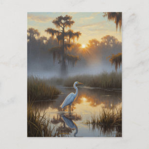 Egrets in Everglades National Park Morning Postcard